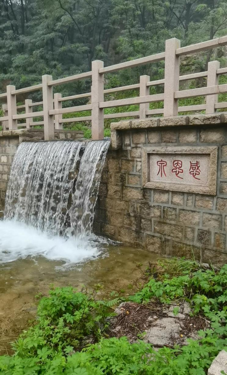 图片6