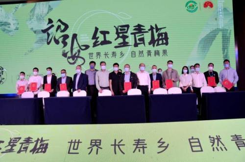 以梅为“媒” 诏安县在成都举办2022青梅产业推介会