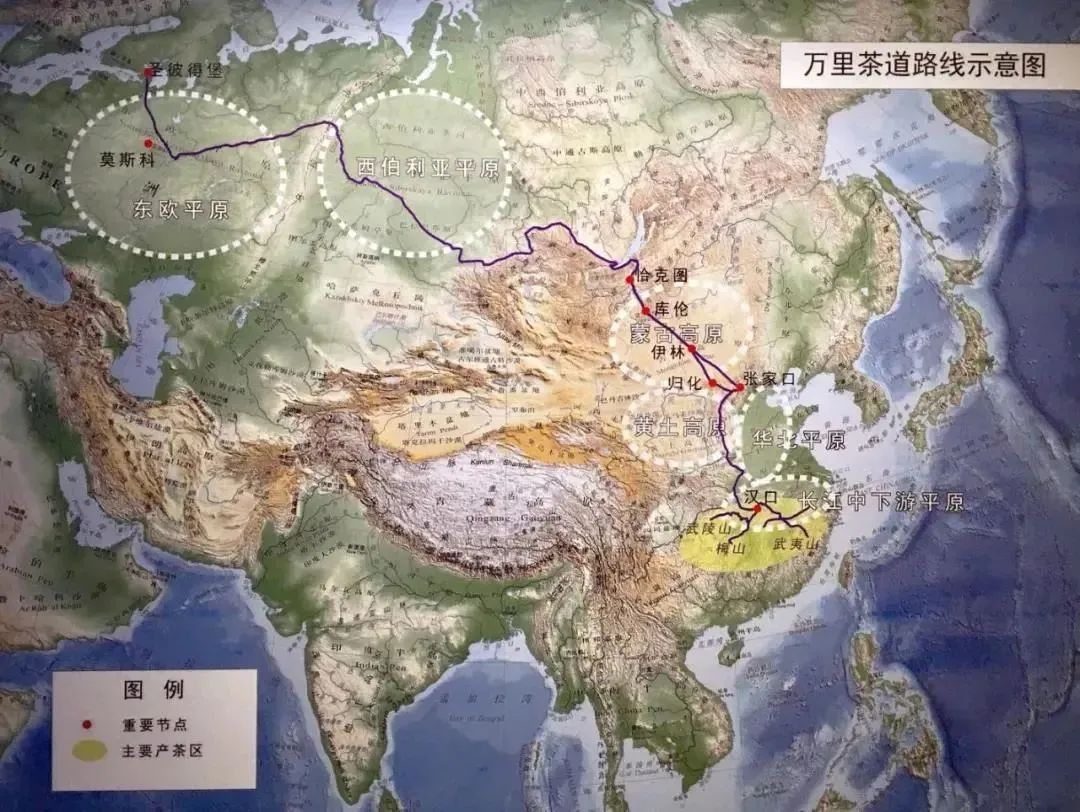 图片15