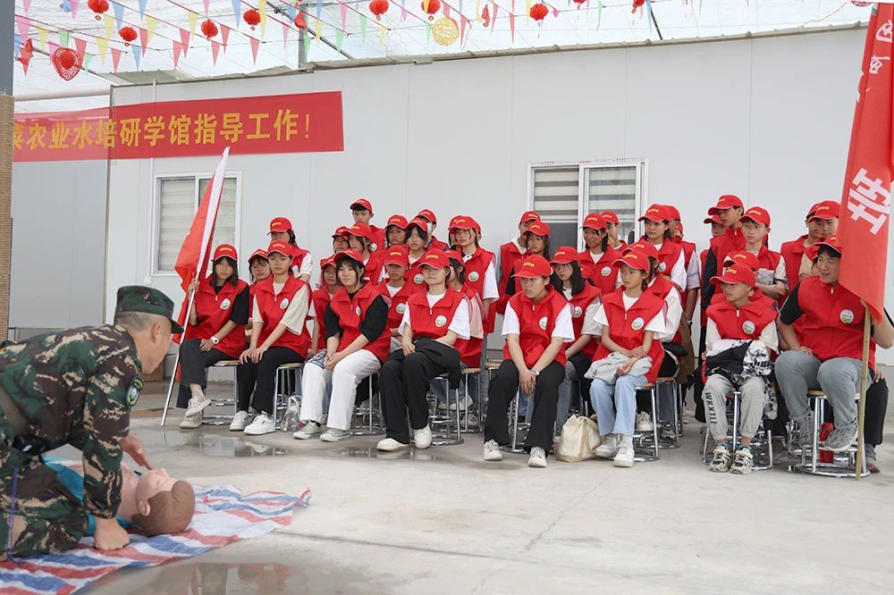 图片6