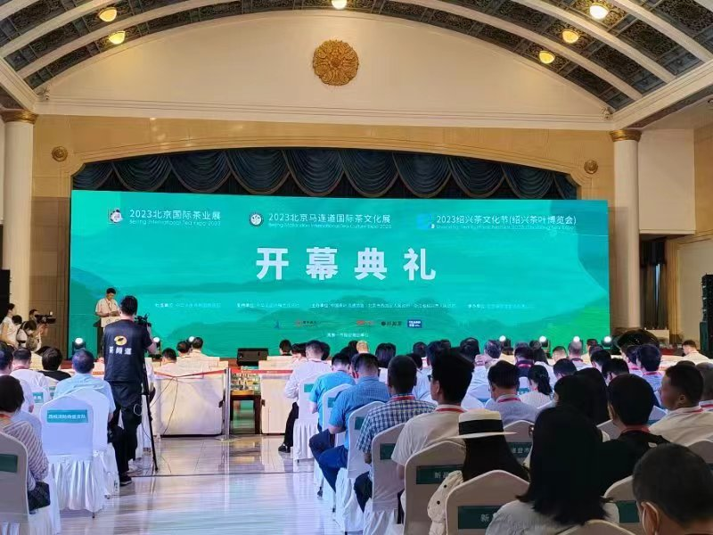 图片12