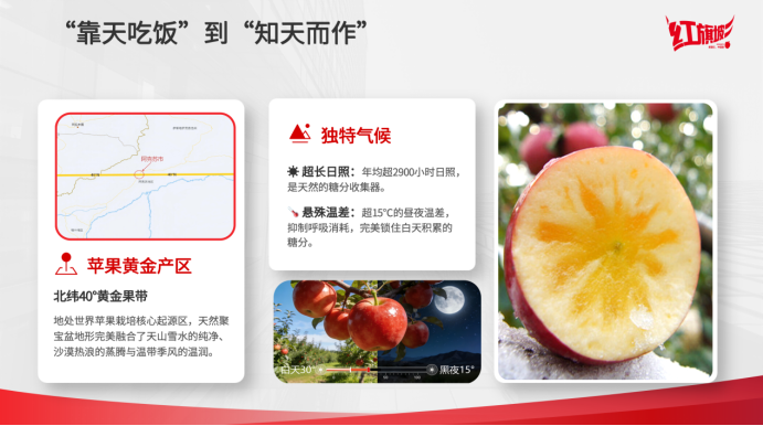 32fce19c9f61ee8bdfdcdb68a4865f69.png