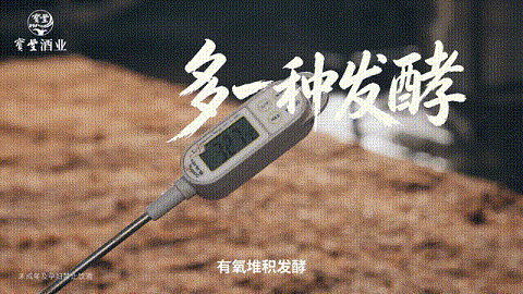 5.gif