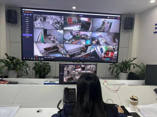图片19