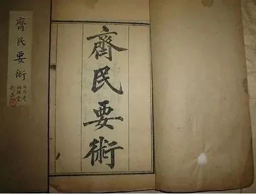 图片6