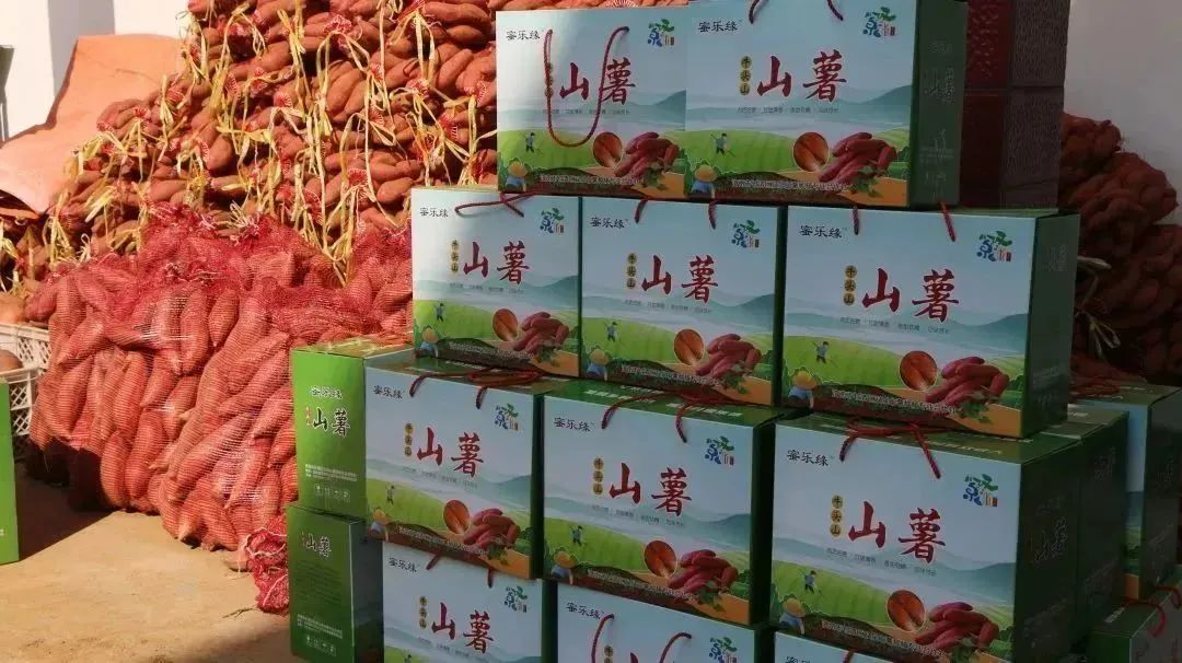 图片6